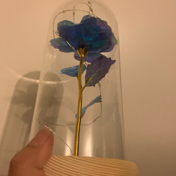 Rose - Picture 6 of 10